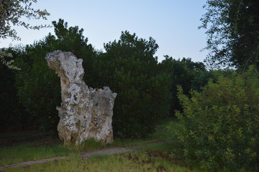Masseria Paglieroni Alloggio per agriturismo
